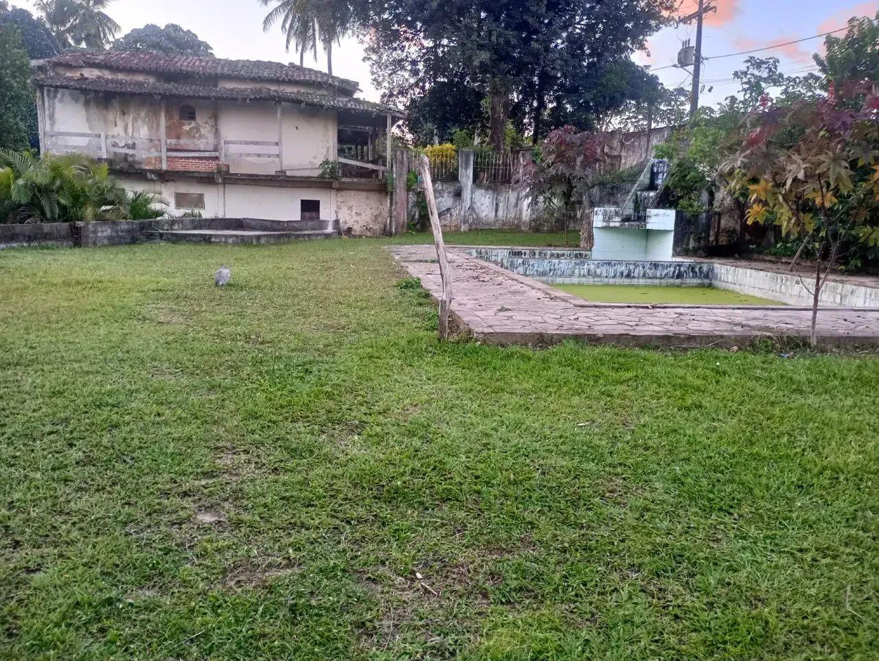 oportunidade sítio no Cassange - Foto 3