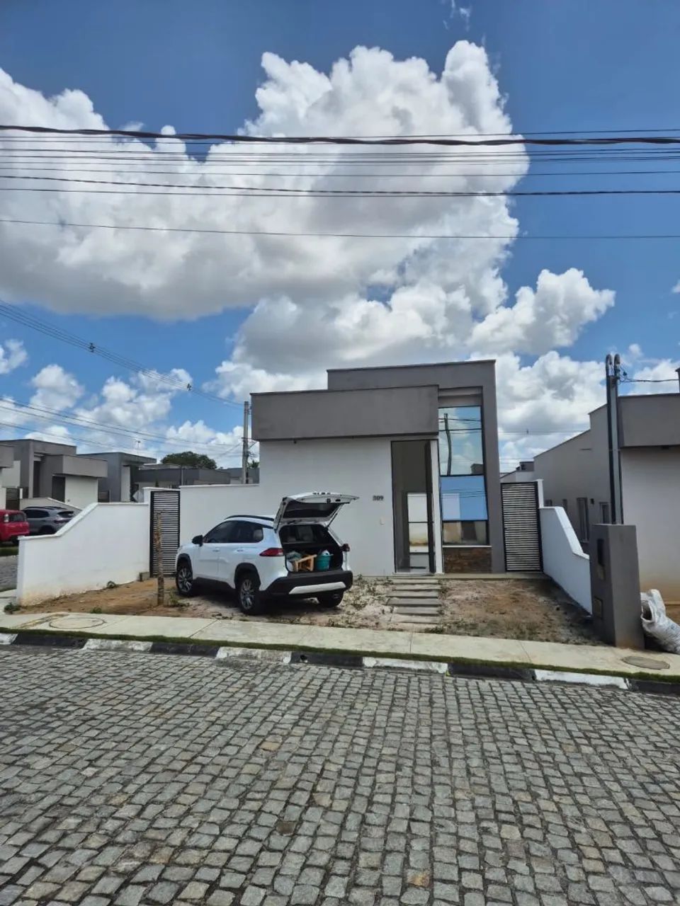Foto - Feira de Santana - Papagaio
