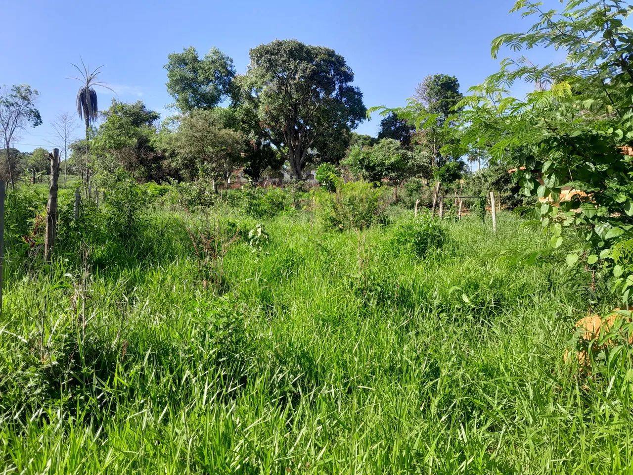 Lotes no bairro paraíso em mateus leme  - Foto 3