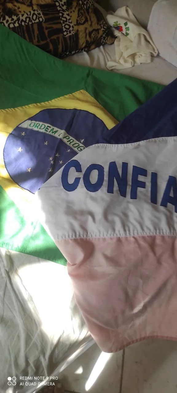 Bandeiras ,do Brasil e do Espírito Santo: - Foto 5