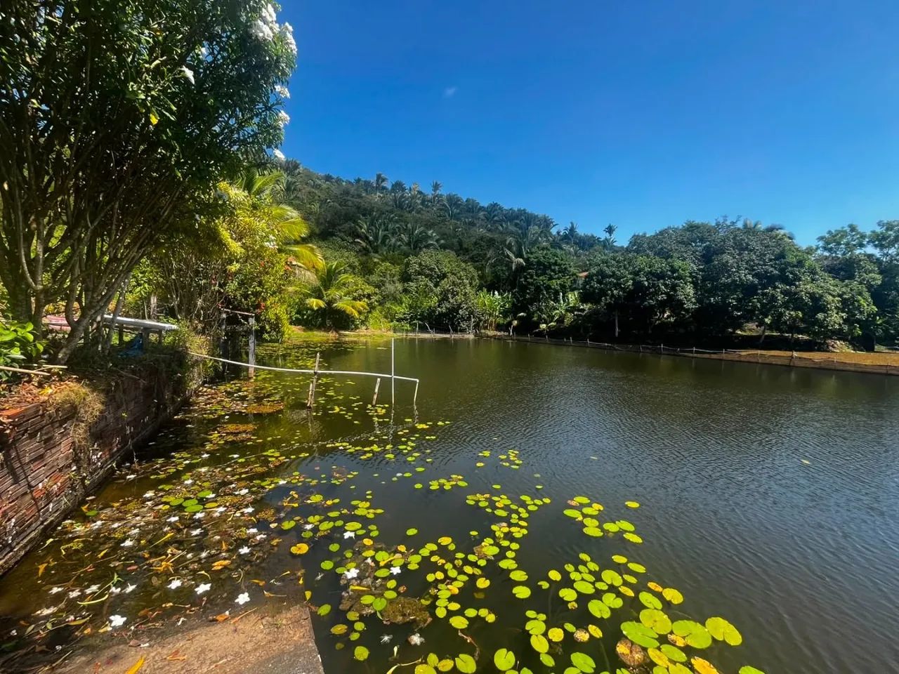 Chácara à Venda - Oportunidade - Foto 3
