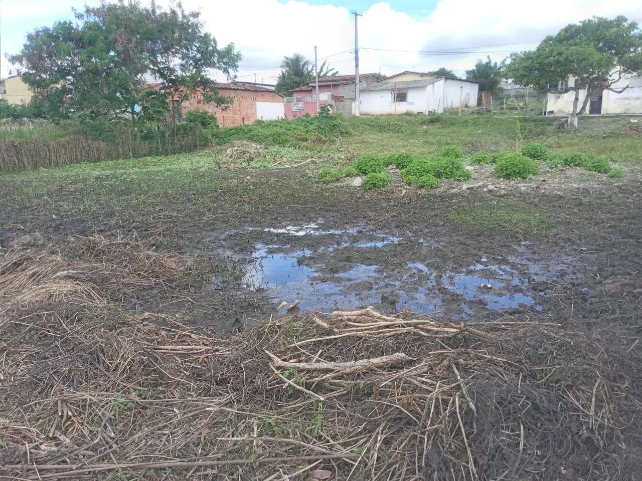 Oportunidade - Foto 5