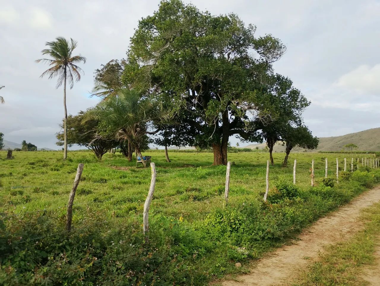 Sítio povoado serra comprida areia Branca sergipe - Foto 3