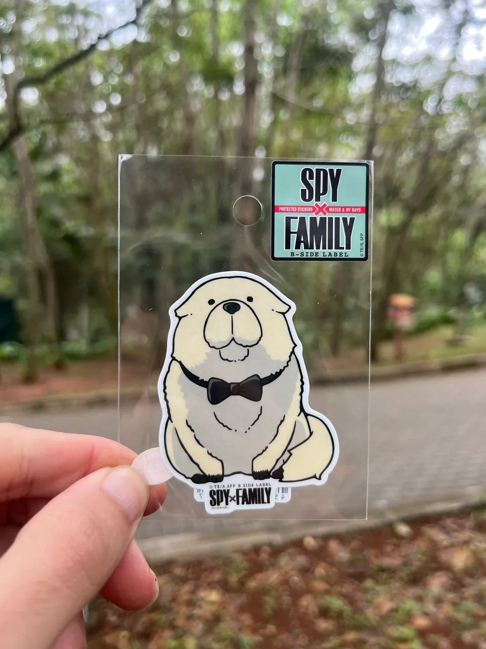 Adesivo B-Side spy family