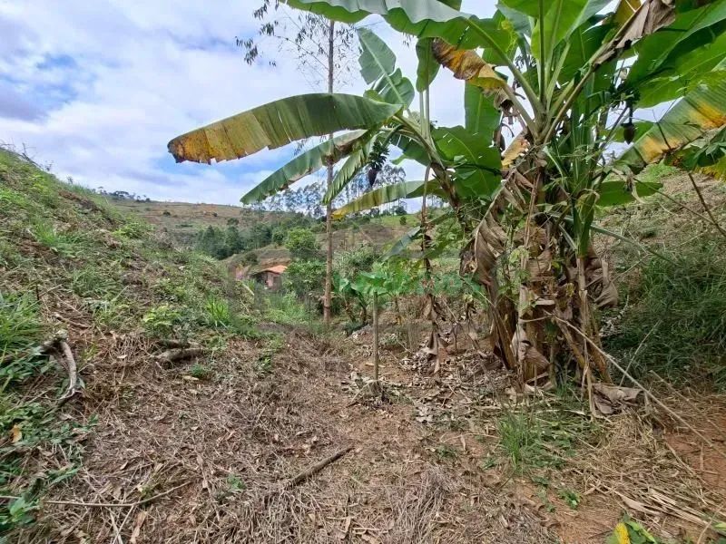 Granja para Venda - Foto 2