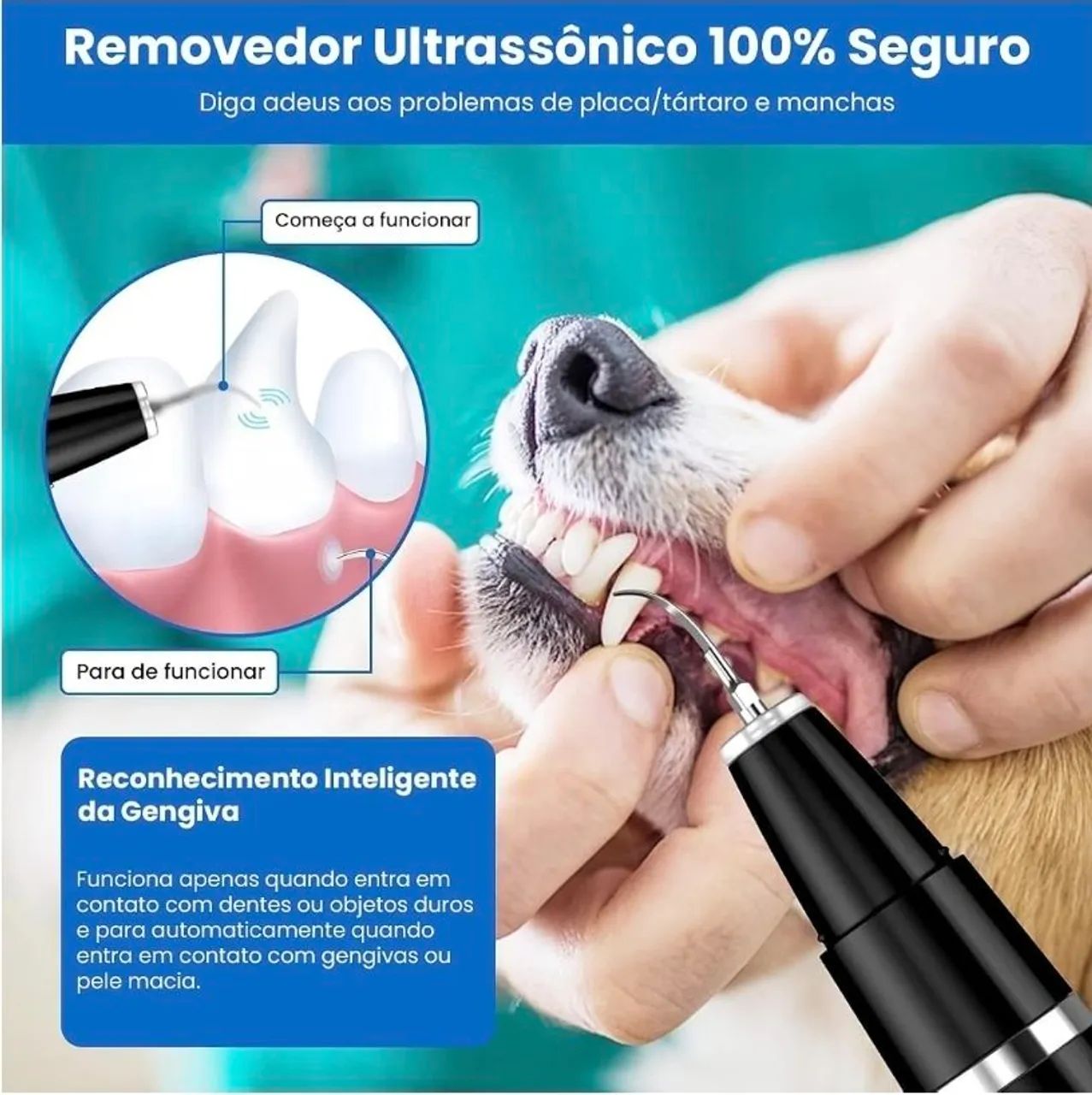 Kit de Higiene e Limpeza Dental para Cães - Foto 2