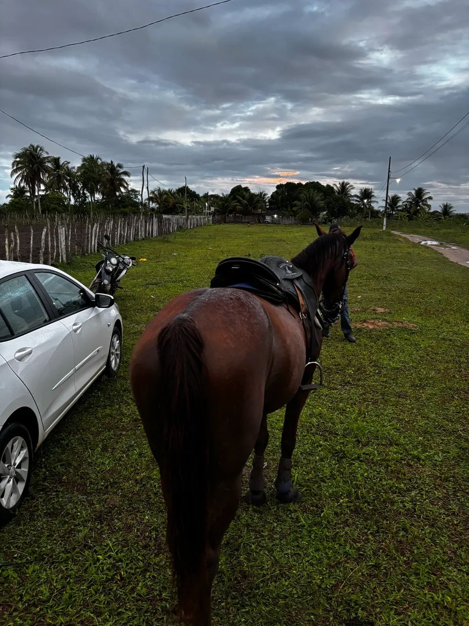 Cavalo de esquerda - Foto 3