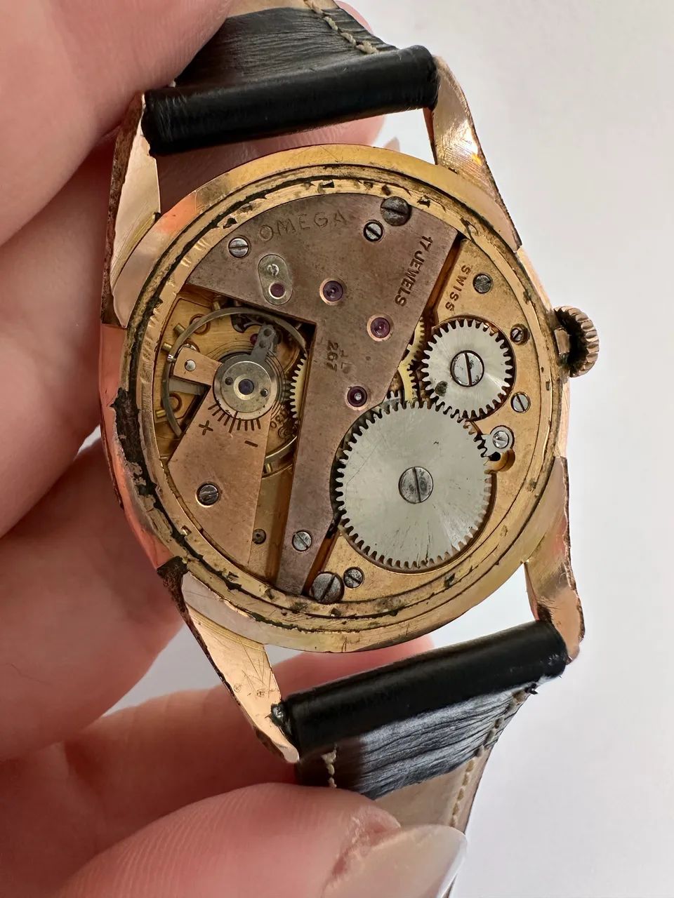 Omega Argentino  - Foto 5