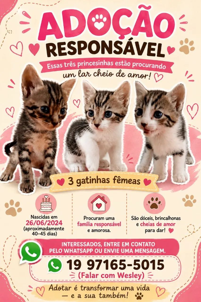 Adote uma gata