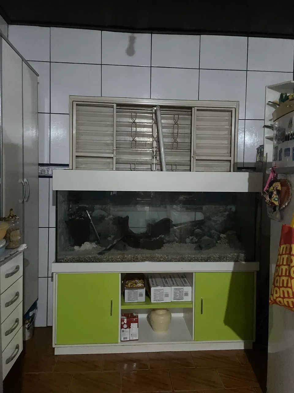 Áquario Marinho