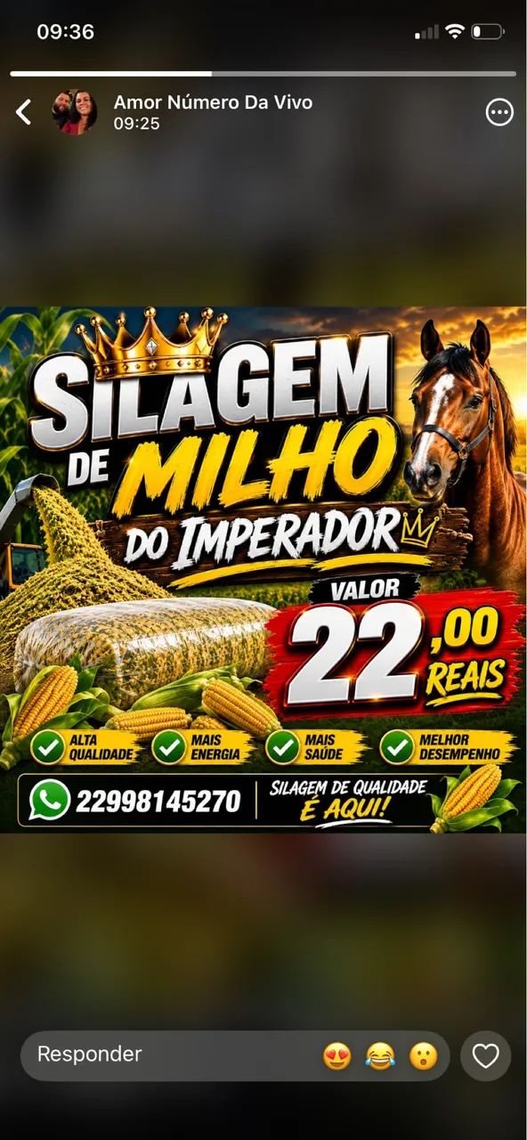 Silagem de milho