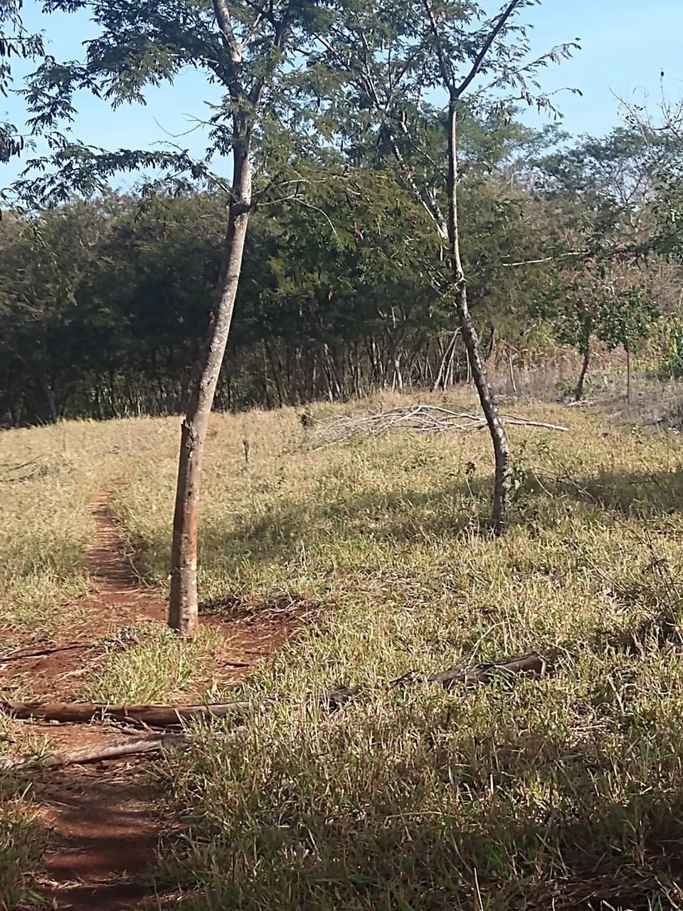 Terreno 