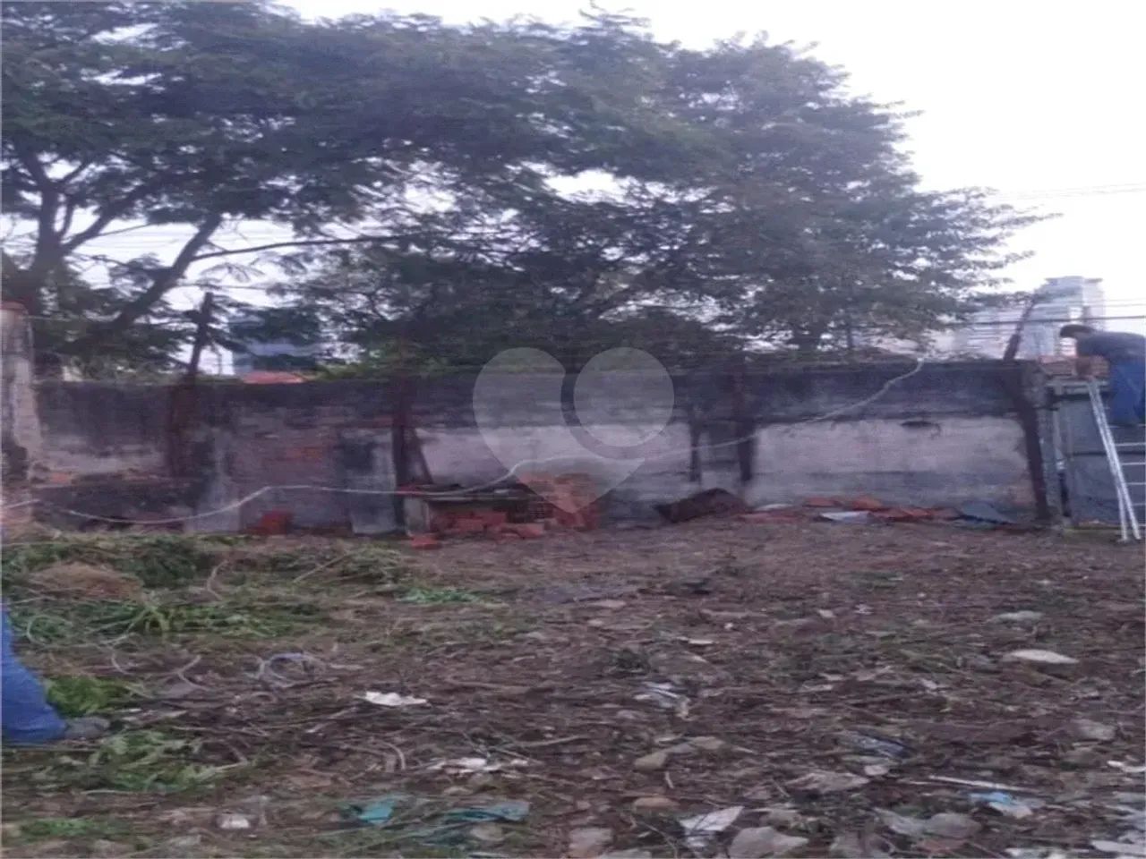 Terreno à venda em Vila cordeiro - SP - Foto 4