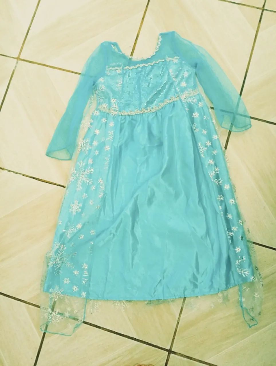 Fantasia Frozen num 4
