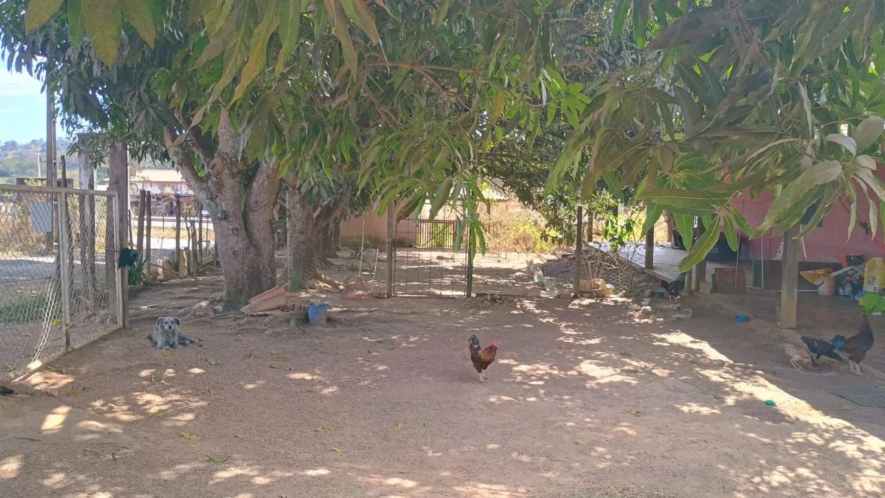 Vendo chácara aceito troca dependendo do valor  - Foto 5