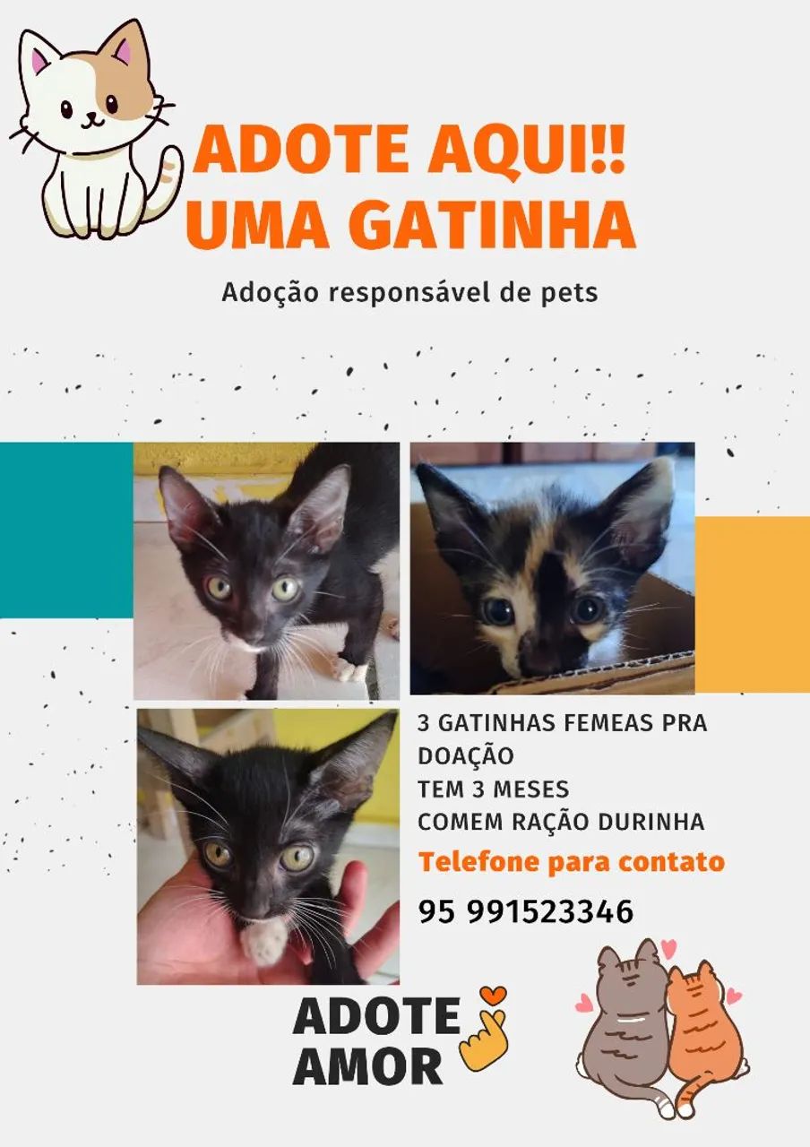 Doa-se gatinhos