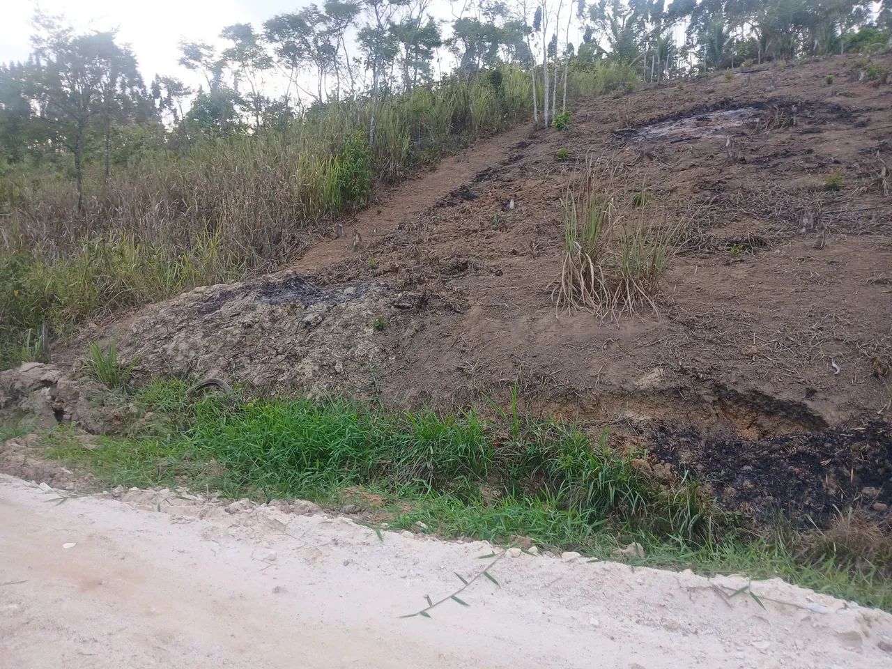 Terreno em paudalho - Foto 3