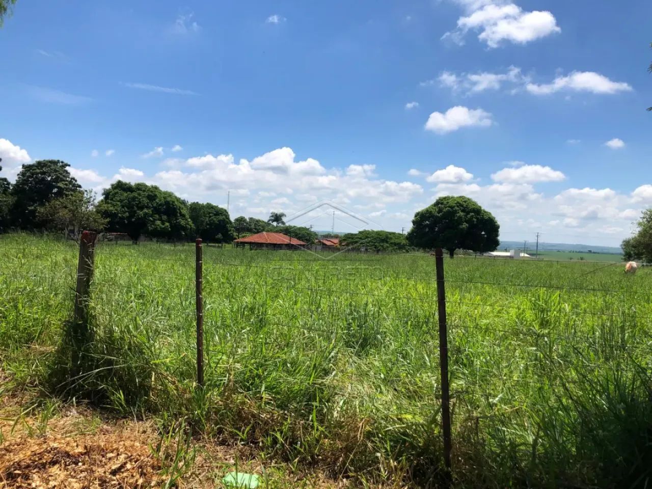 Lote rural em Arealva - centro da cidade!! - Foto 5