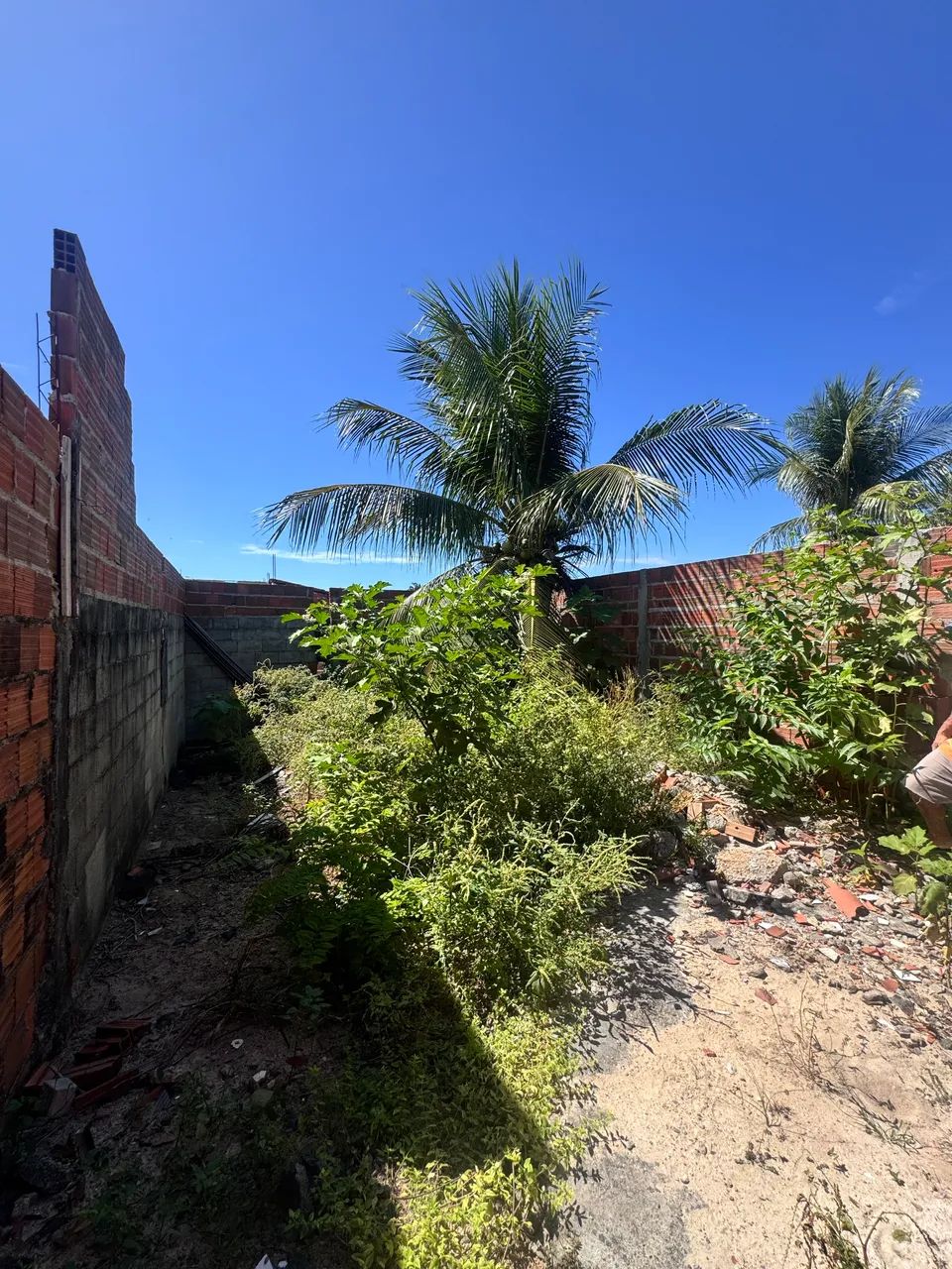 Terreno com casa - Foto 2