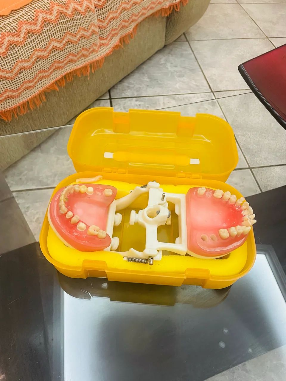 Manequim Odontológico 