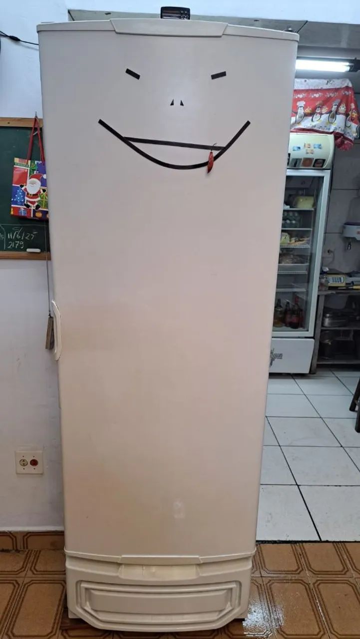 FREEZER INDUSTRIAL VERTICAL 