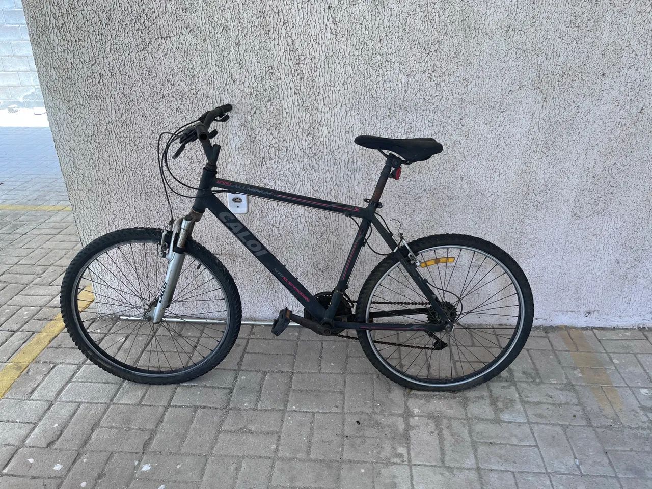 Bicicleta 