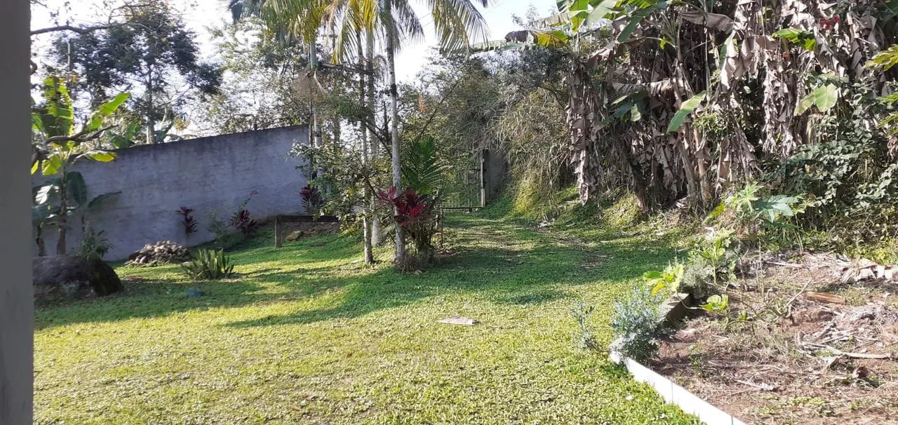 Characara em Paranaguá. - Foto 3