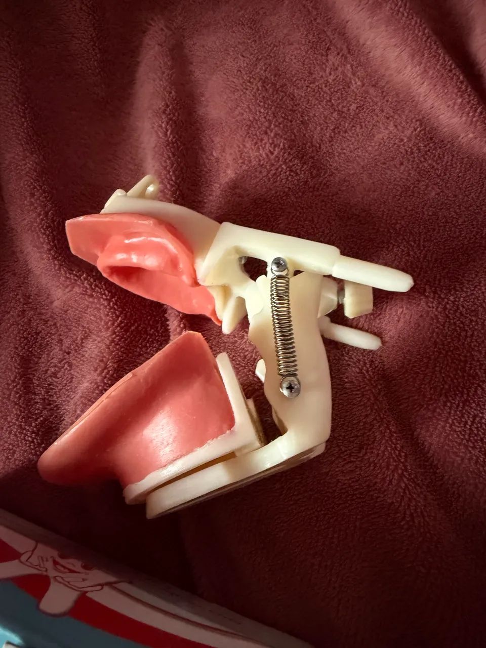 Manequim de prótese total dent art - Foto 3