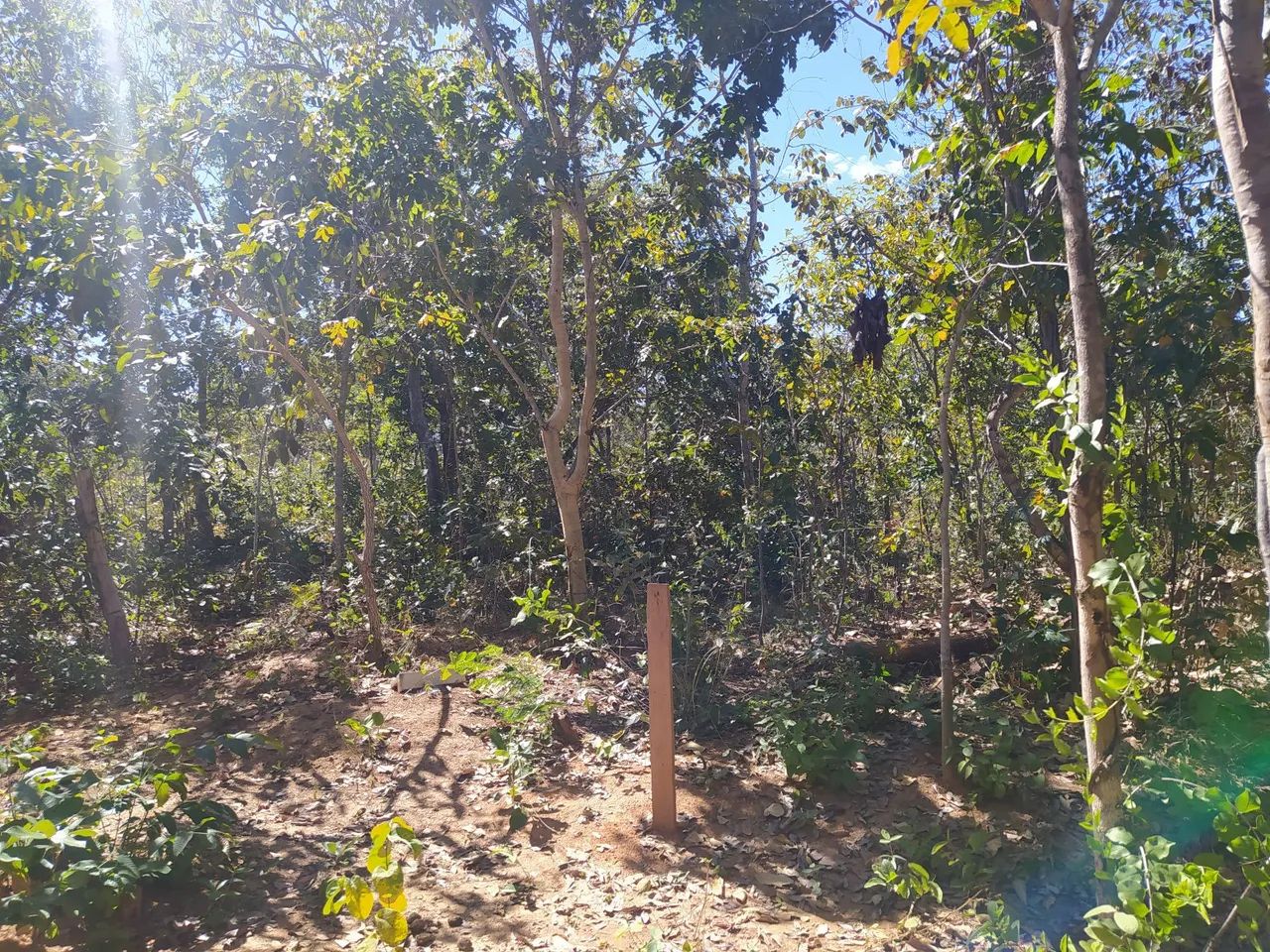 Lote no Lago serra da mesa