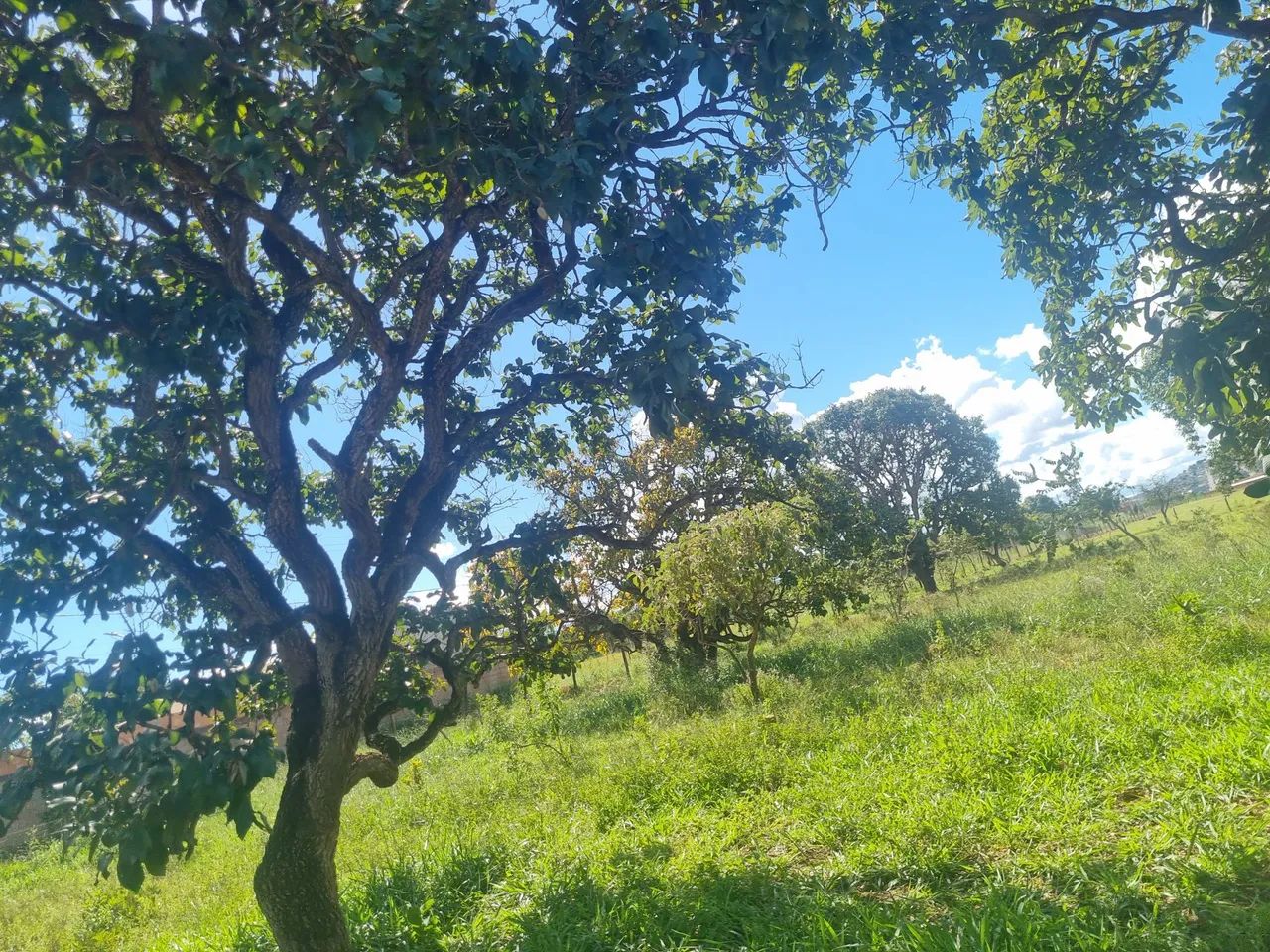 Venda 2 terreno/chácara  - Foto 5
