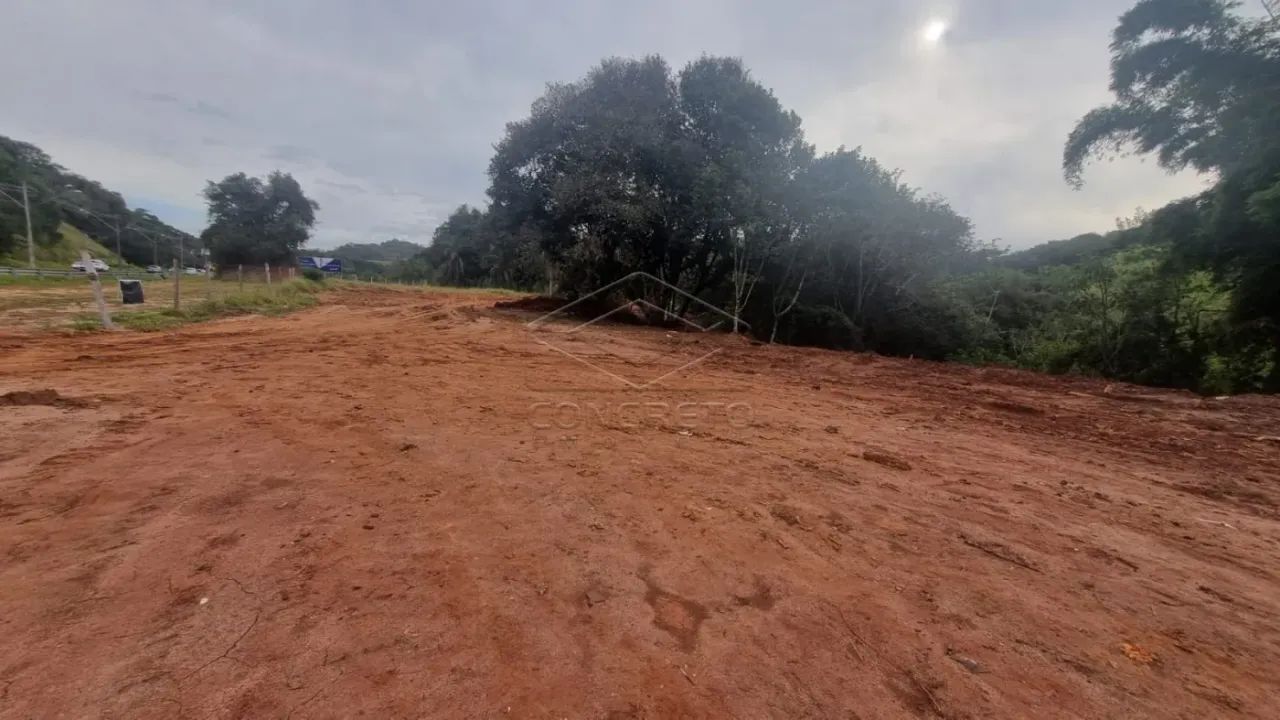 Terreno Área em Botucatu - Foto 4
