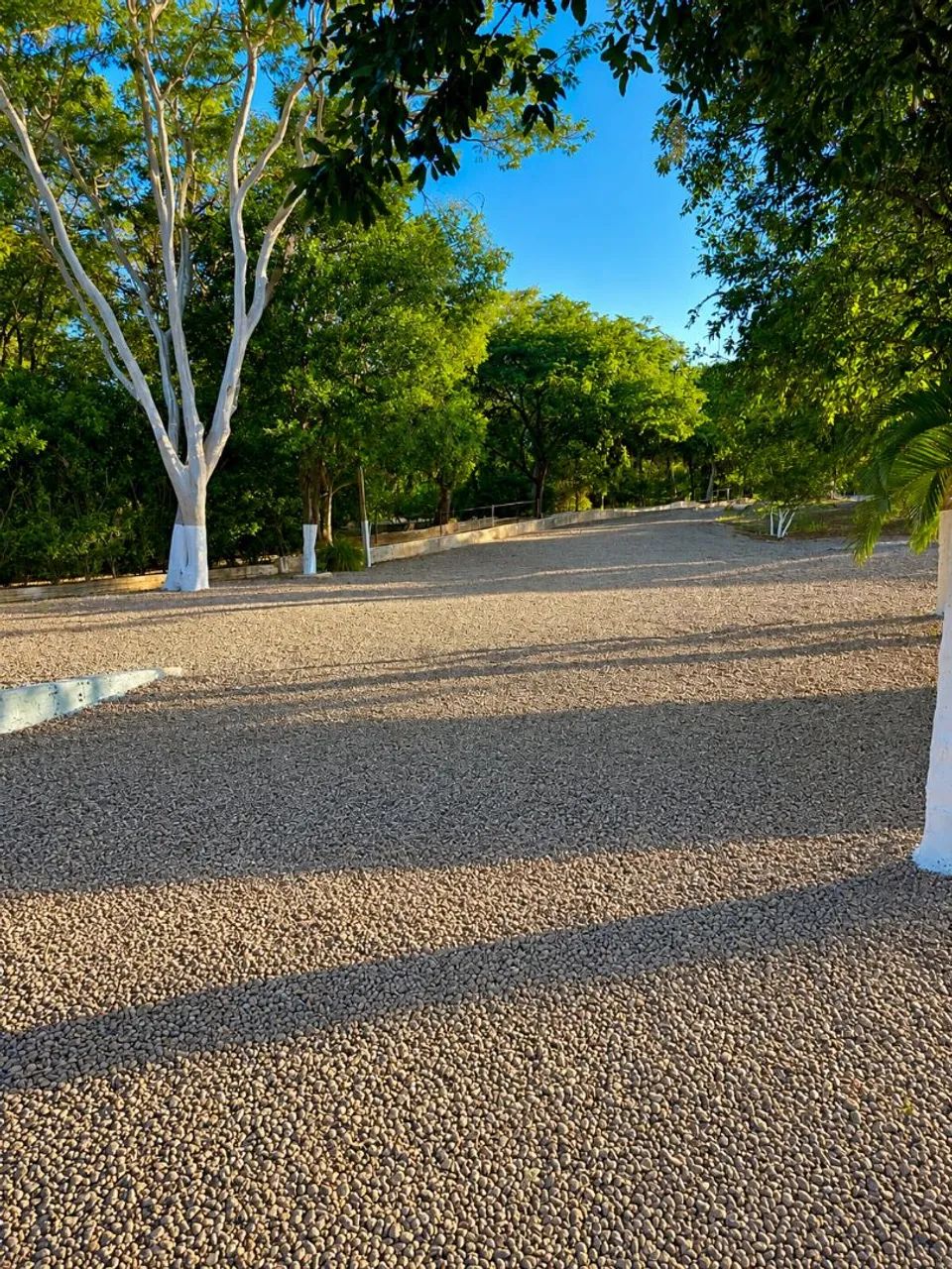 LOTE PÉ NA AREIA EM BURITAMA SP - Foto 4