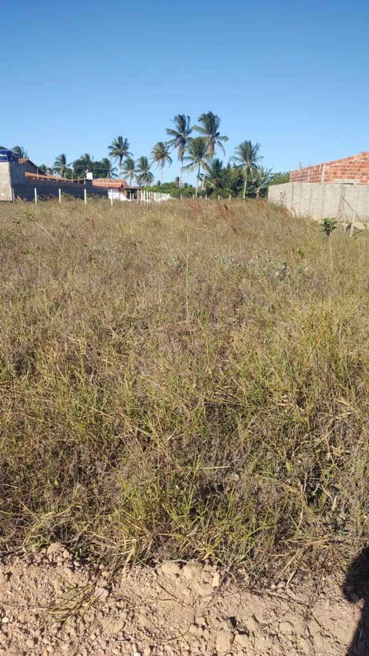 Terrenos em salgados - Foto 2