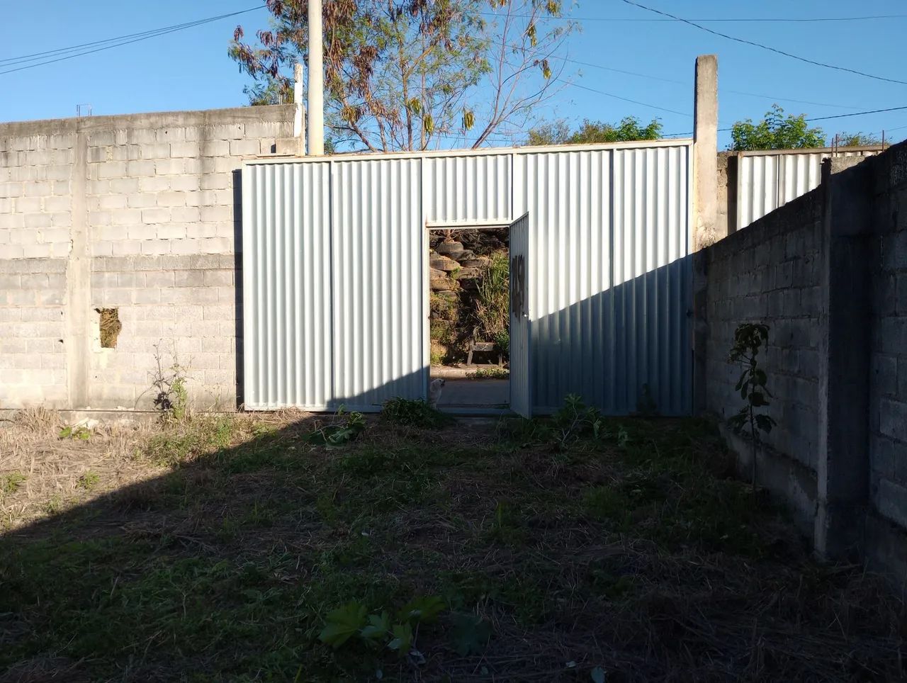 Terreno de 500 m todo murado  - Foto 2