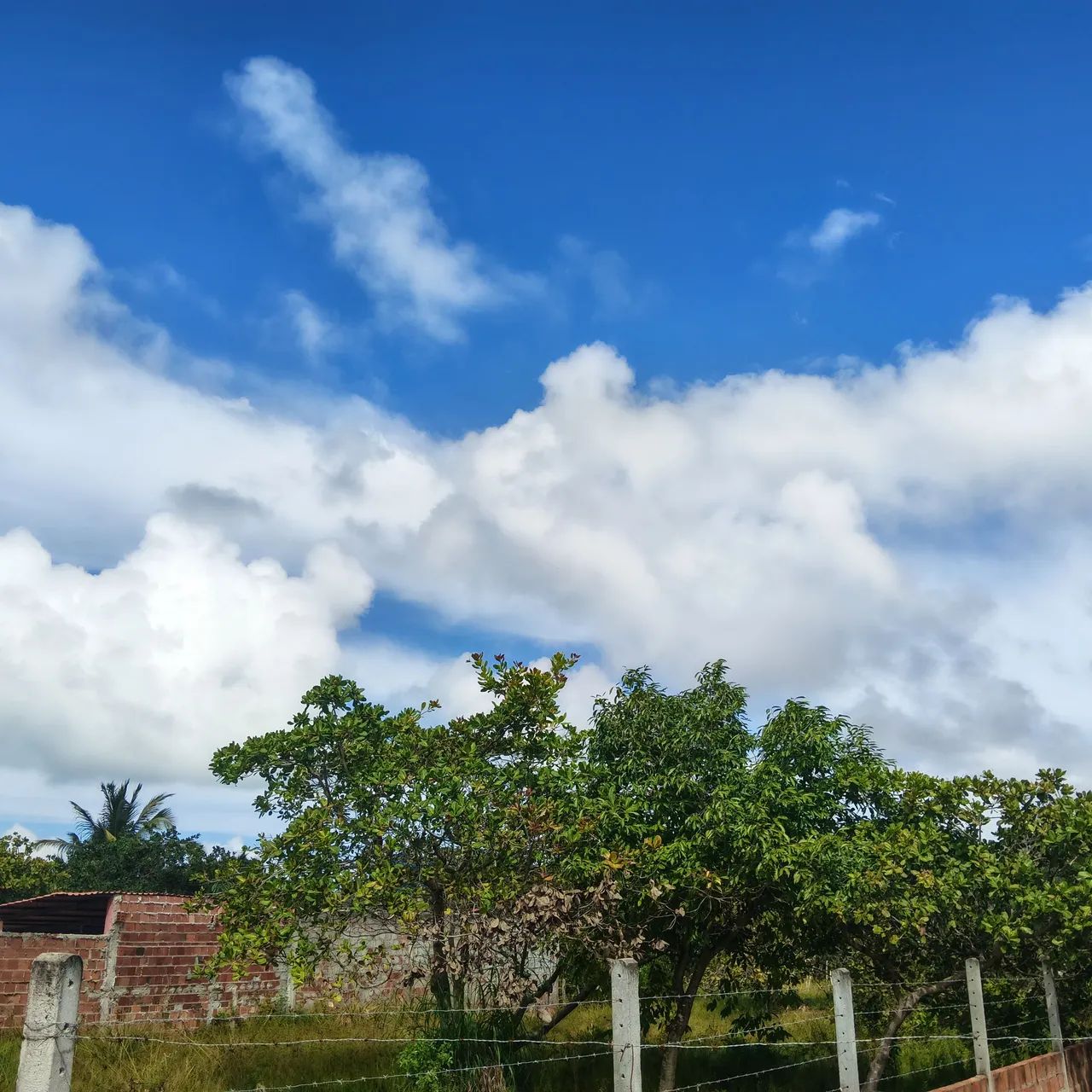 Terreno medido 20/50 - Foto 3