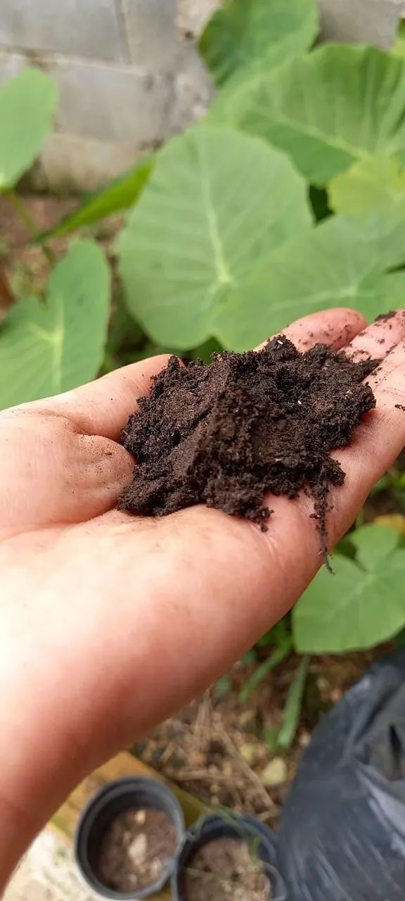Pacote Terra Adubada 20kg Terra Preta Boa Qualidade  - Foto 4