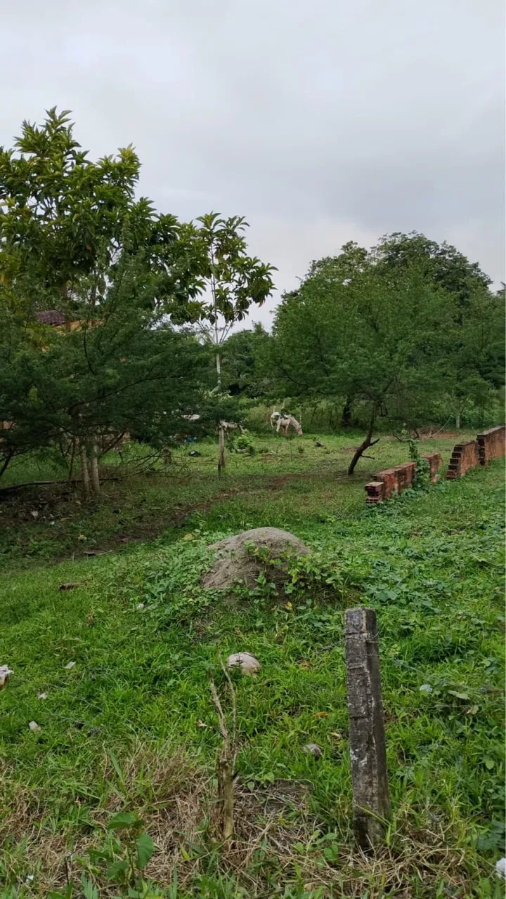 Vendo ou troco - Foto 3