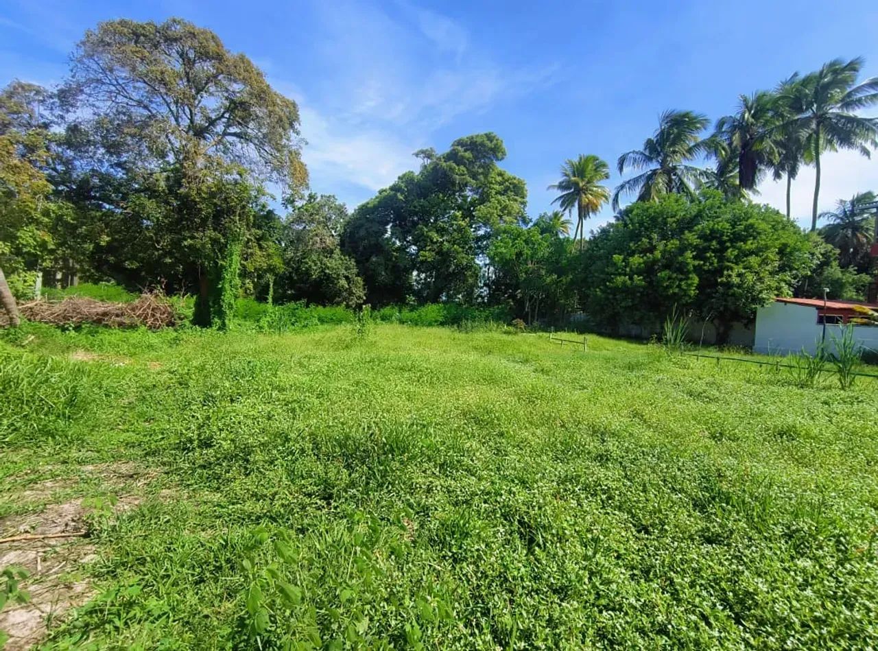 Excelente Oportunidade de lote - Pontal de Maracaípe - Foto 4