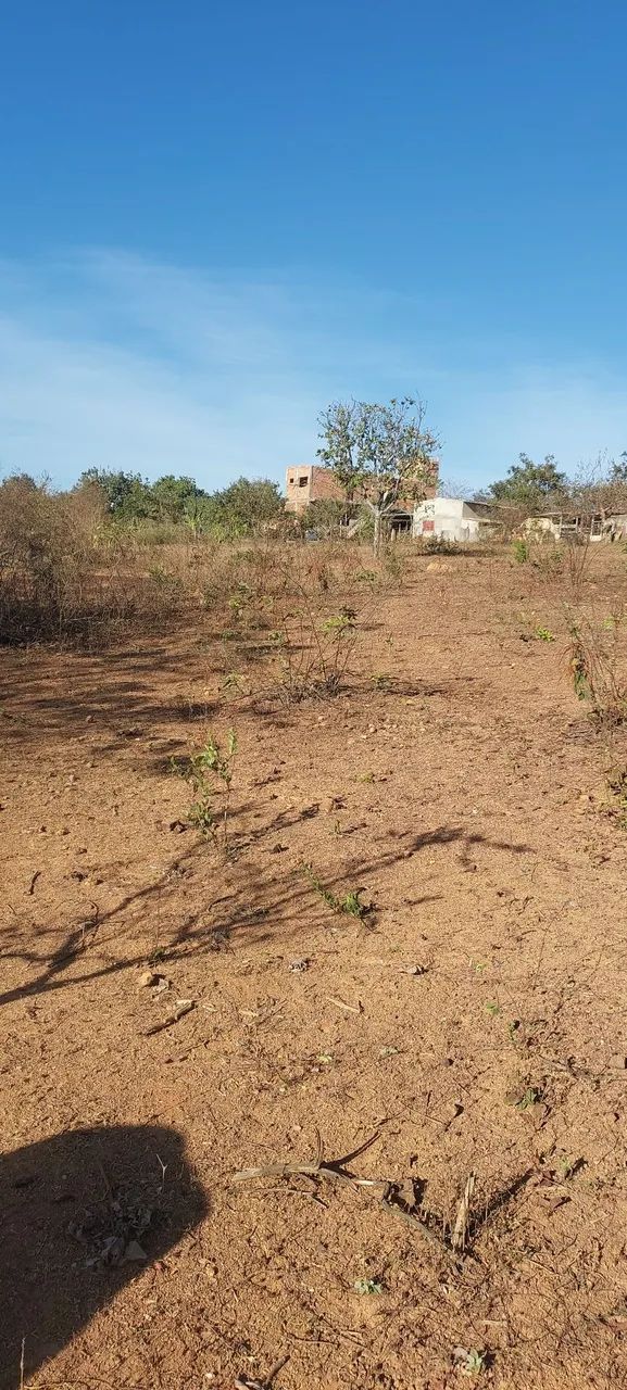 Chácara c/ Rio prox GO 020 escriturada 5.550m2 apenas 1km do asfalto - Foto 3