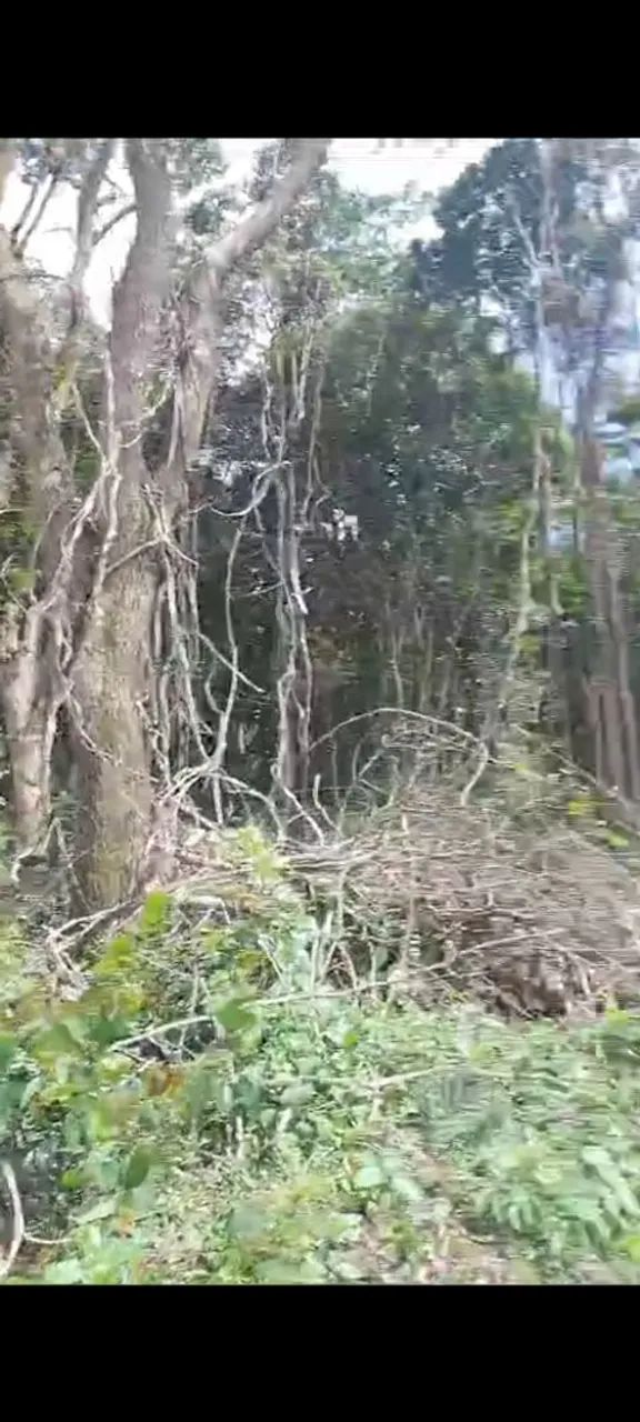 Terreno em Caeté  - Foto 2