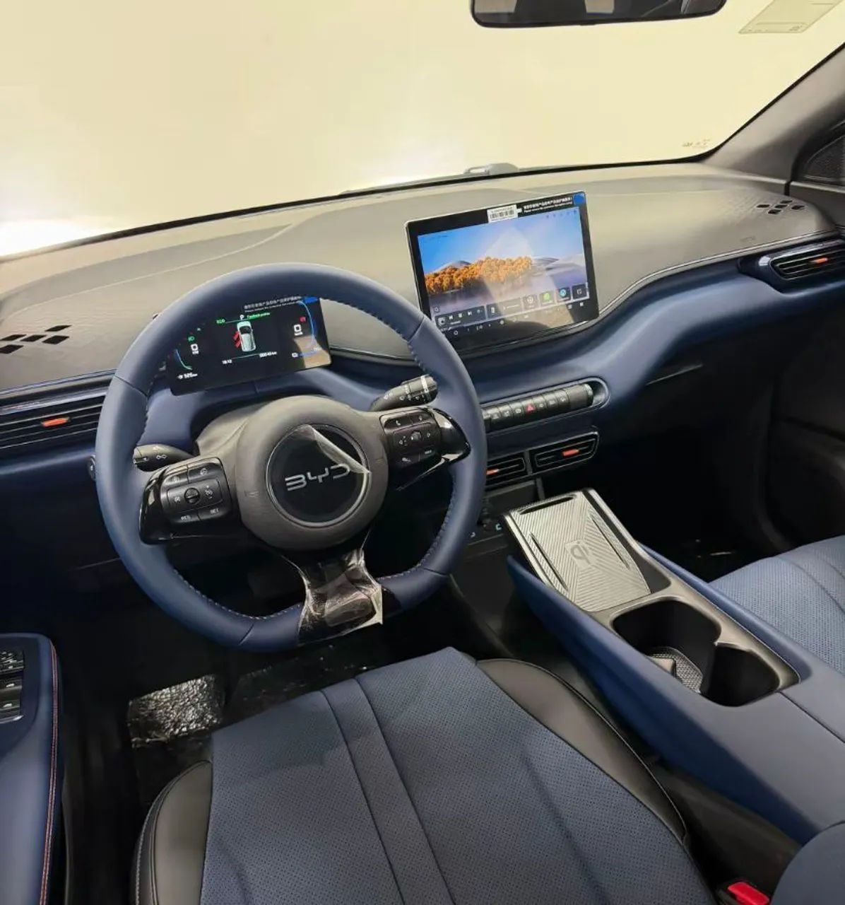 BYD Dolphin Mini (Elétrico) 2026 - Foto 5