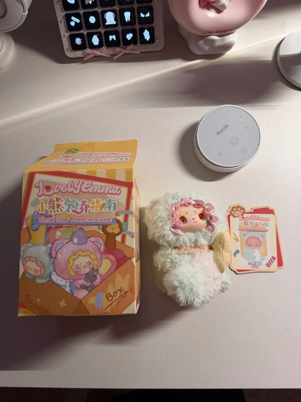 Lovely Emma - Little Bear Adoption Guide (Mint) | Pelúcia Blind Box - Foto 2