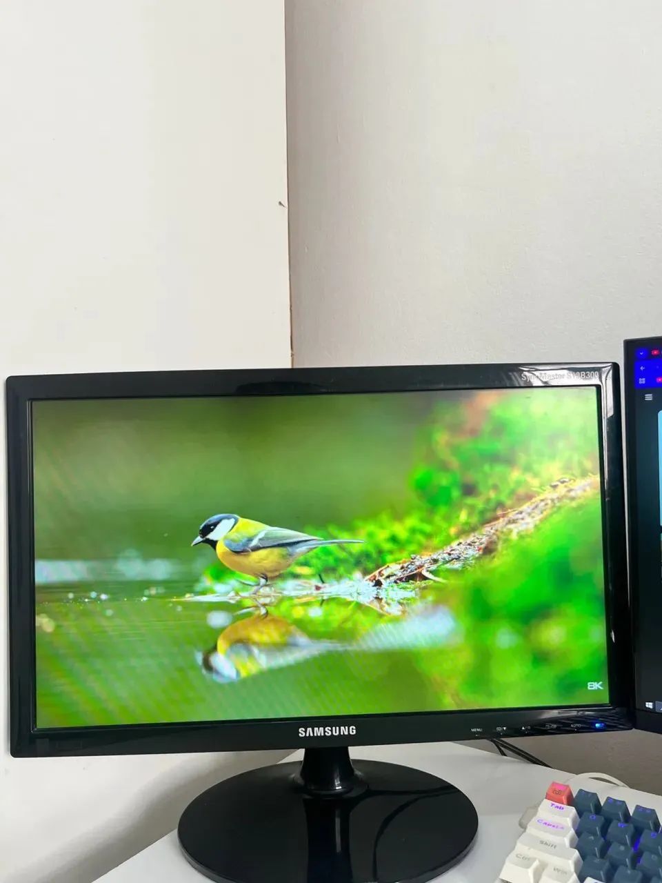 Monitor Samsung 19 S19B300
