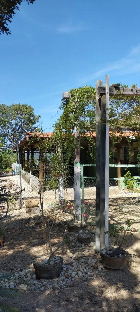 VENDO CASAS NA BEIRA DE LAGO - Foto 3
