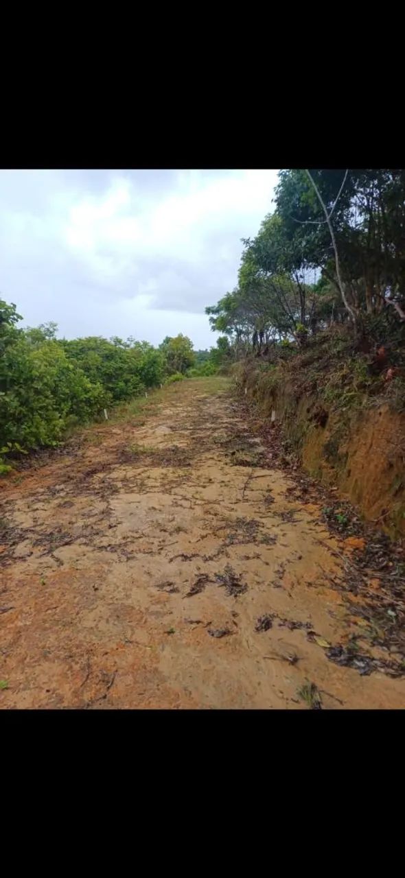 ILHA DE ITAPARICA  - Foto 5