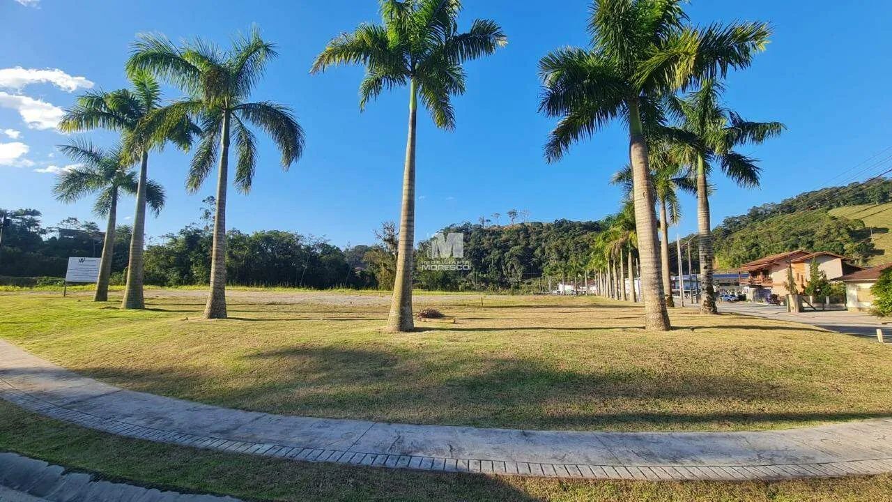 TERRENO PLANO - CEDRO ALTO - Foto 4