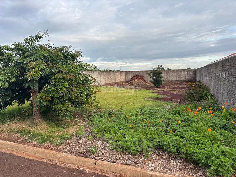 OPORTUNIDADE TERRENO EM SEDE ALVORADA - Foto 4