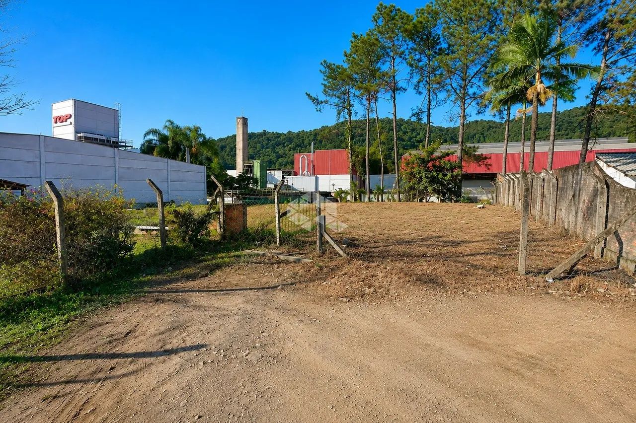 Terreno com 716 m² - Velha - Blumenau/SC - Foto 2