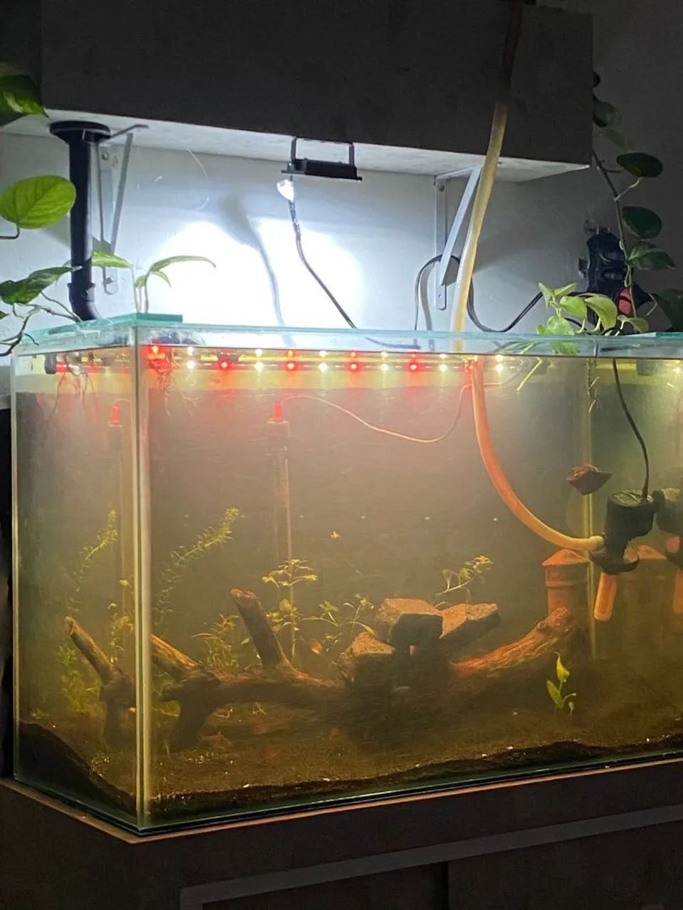 Aquario com Canister - Foto 3