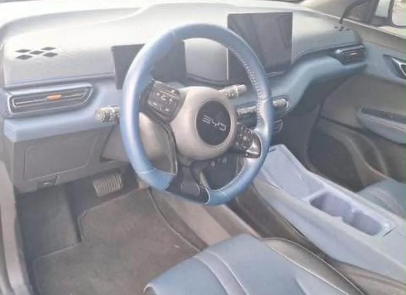 BYD Dolphin Mini (Elétrico) 2025 - Foto 2